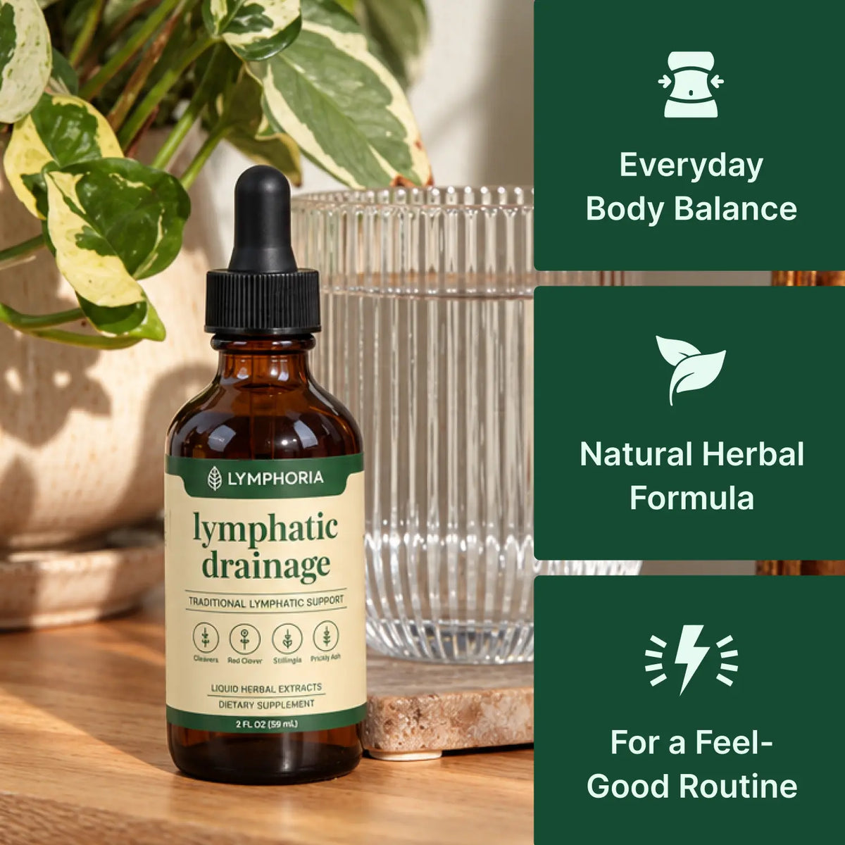 Lymphoria Drainage Drops